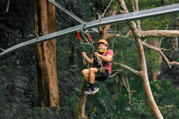 World D+ roller adventure in the rainforest